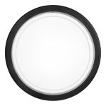 Eglo Ceiling Light Planet 1 Steel Black | Suitable for E27